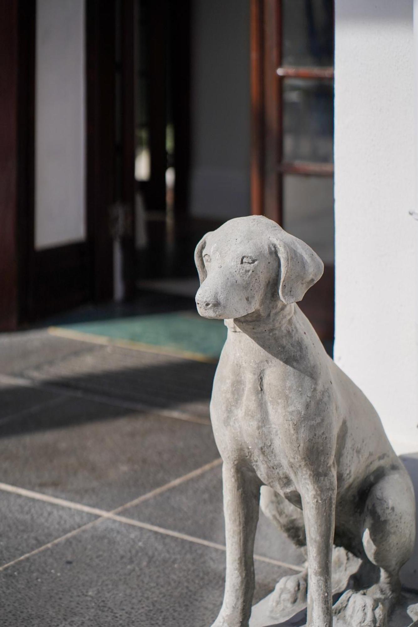 Wytham Manor House Hotel Cape Town Luaran gambar