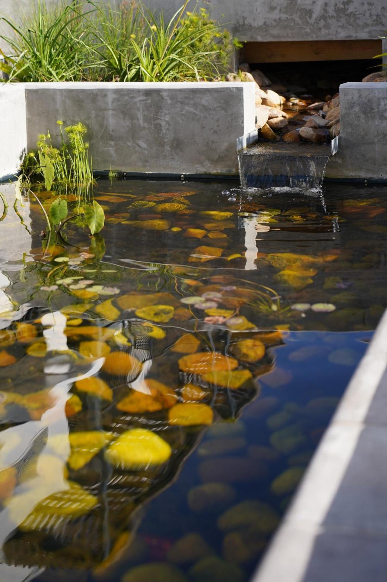 Wytham Manor House Hotel Cape Town Luaran gambar